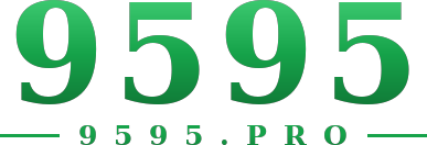 9595 logo